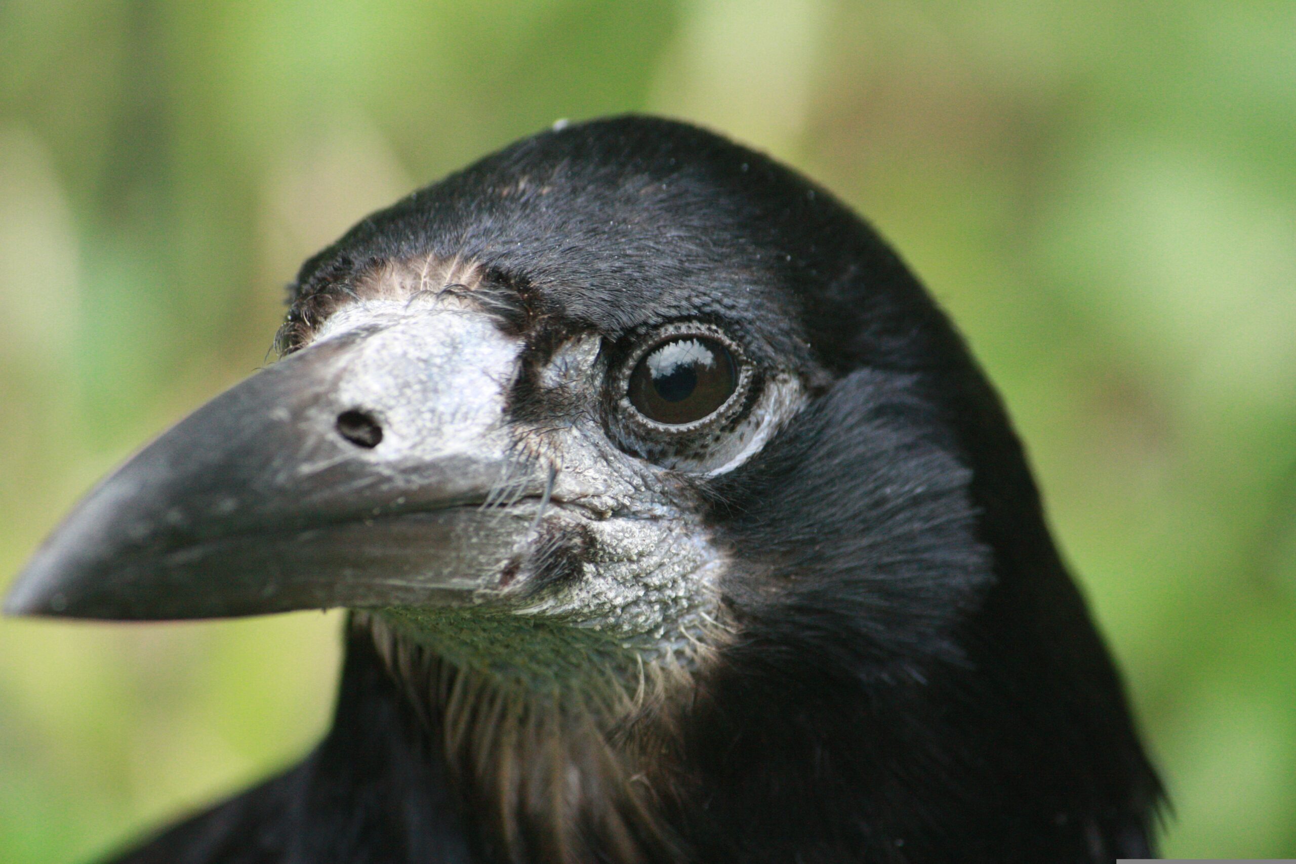 Platzhalter-Beitrag Nr4